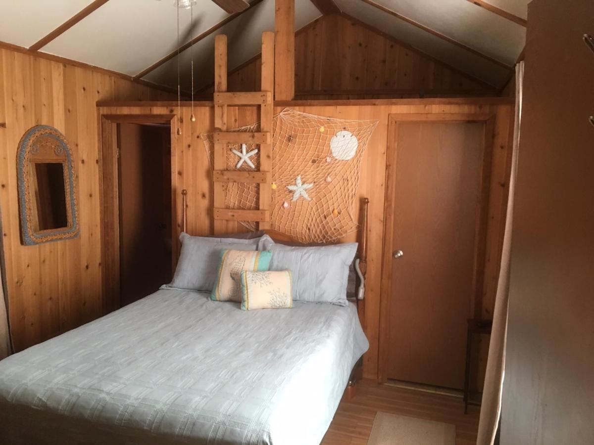 Cozy Cabin On The Bayou Maurepas 外观 照片