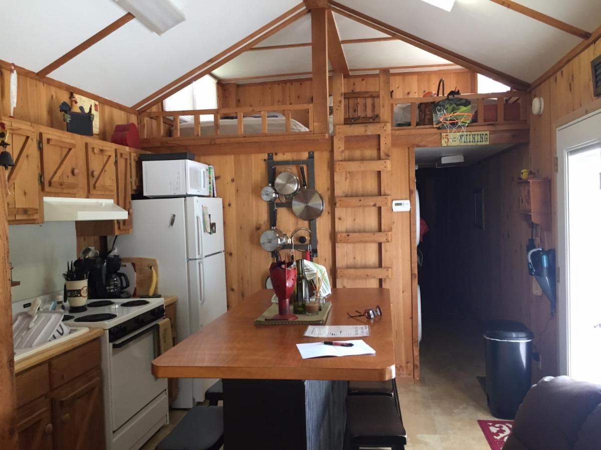 Cozy Cabin On The Bayou Maurepas 外观 照片