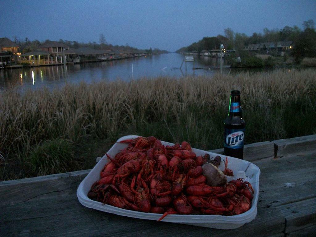 Cozy Cabin On The Bayou Maurepas 外观 照片